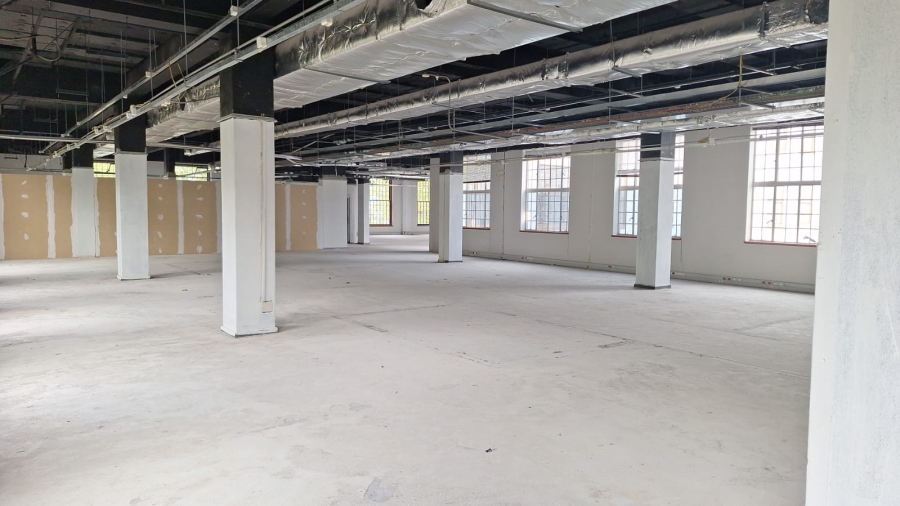To Let commercial Property for Rent in Newlands Western Cape